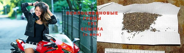 марки nbome Нязепетровск