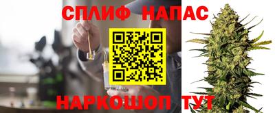 амф Гусев