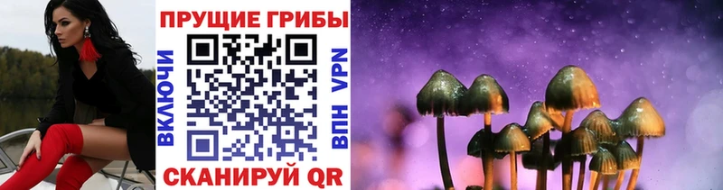 kraken как зайти  Пенза  Псилоцибиновые грибы мухоморы 