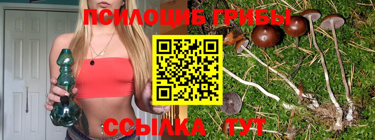 Пенза  Галлюциногенные грибы мицелий  Галлюциногенные грибы Cubensis  Вход с VPN 