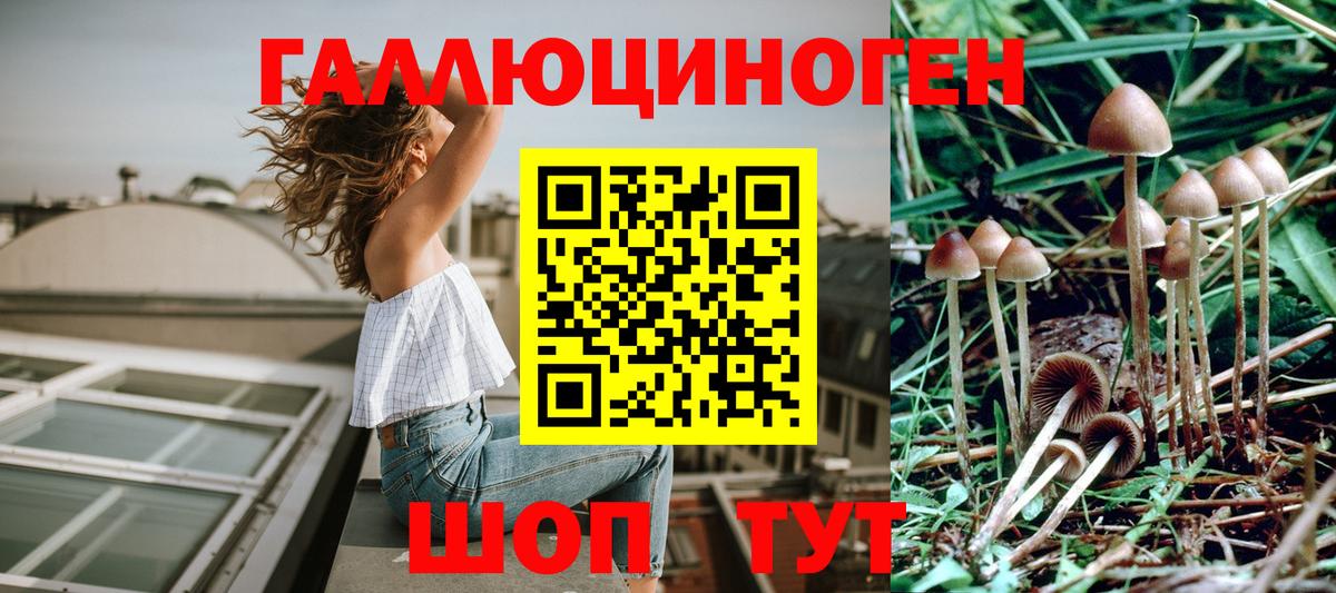 Псилоцибиновые грибы прущие грибы  Галлюциногенные грибы мухоморы  цены наркотик  Пенза 