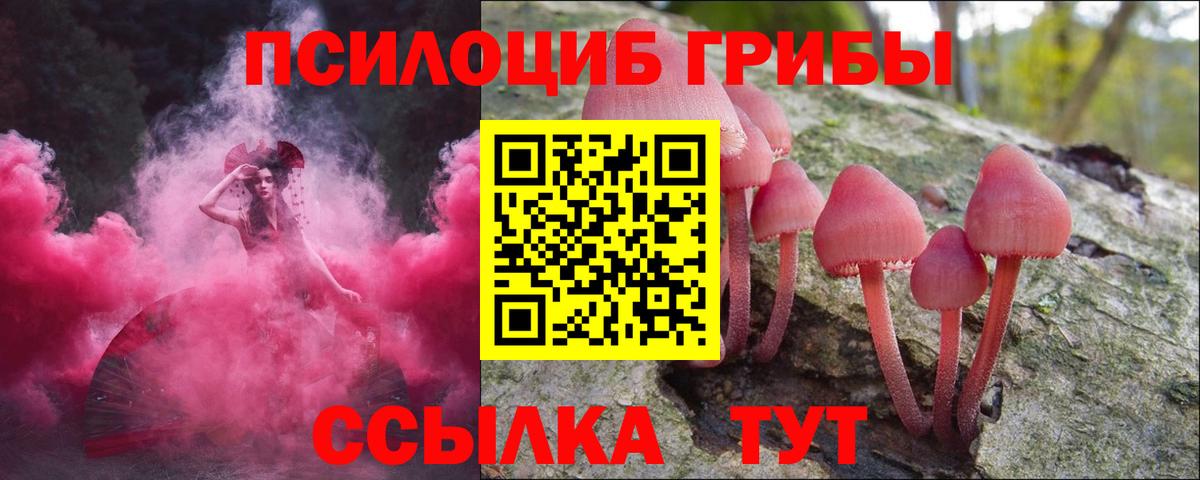Псилоцибиновые грибы прущие грибы Пенза