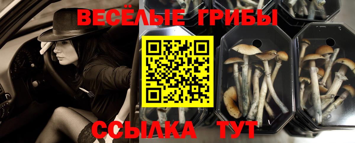 Галлюциногенные грибы мухоморы Пенза